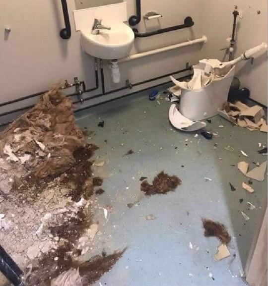 best of Bathroom smashed
