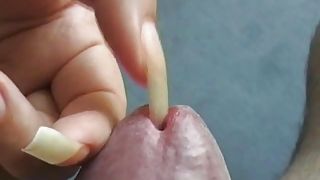 best of Nails cock long scratch