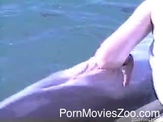 Man fuck dolphin.