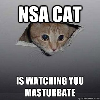 best of Ceiling masturbate watching Cat