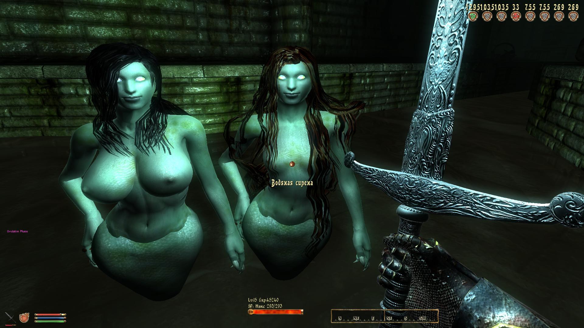 oblivion erotic housewife mods for pc