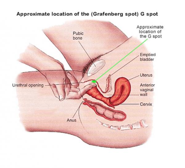 Vaginal g spot orgasm photos