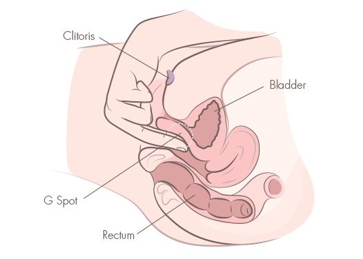 Rain D. reccomend G spot orgasm vs clitoris orgasm