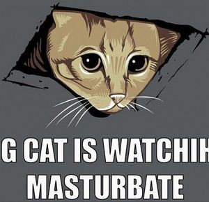 best of Ceiling masturbate watching Cat