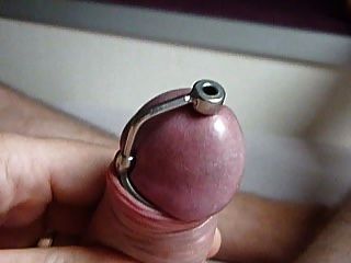 best of Penis Femdom plug with