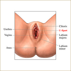 G spot orgasm vs clitoris orgasm